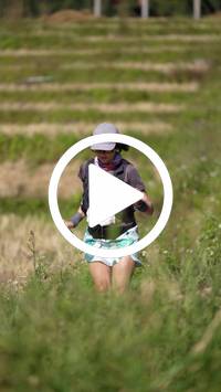 BIB:  <button type="button" onclick="openModal(26787370)" class="btn btn-primary btn-sm float-right" data-toggle="modal" data-target=".modal-high-quality">
                <i class="fa fa-download"></i> Download
                </button>